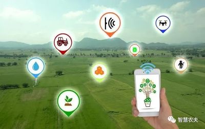 發展智慧農業 實現鄉村振興 智能農業管理的新路徑