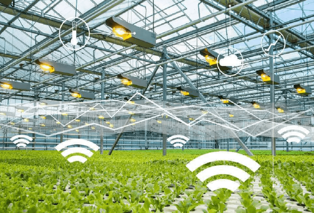 物聯網時代下，物聯卡在智慧農業中的應用場景與特性解析